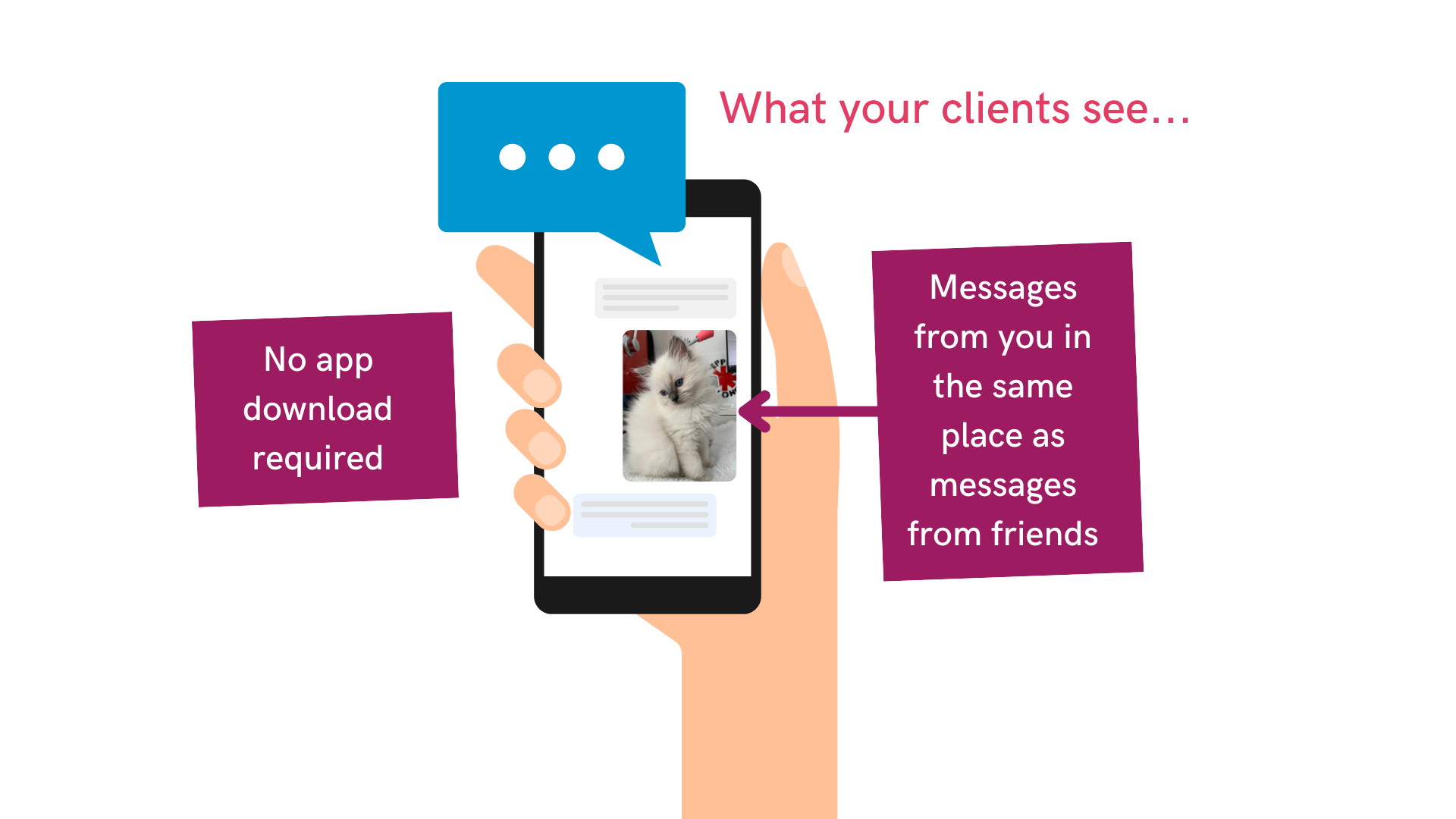 screenshot of Digital Practice Vet